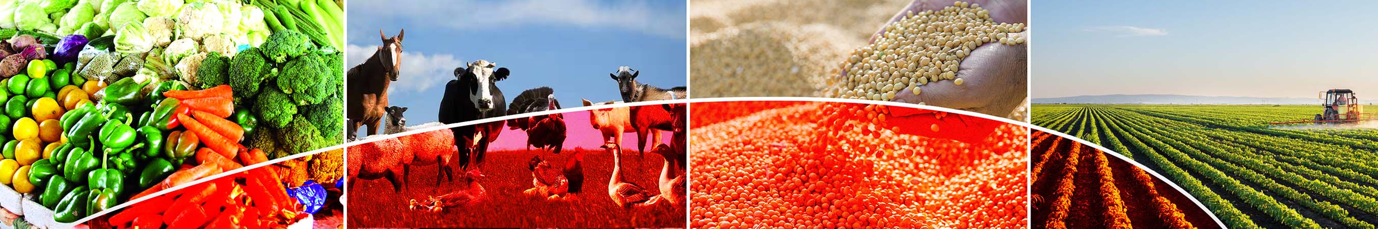 Agri Business