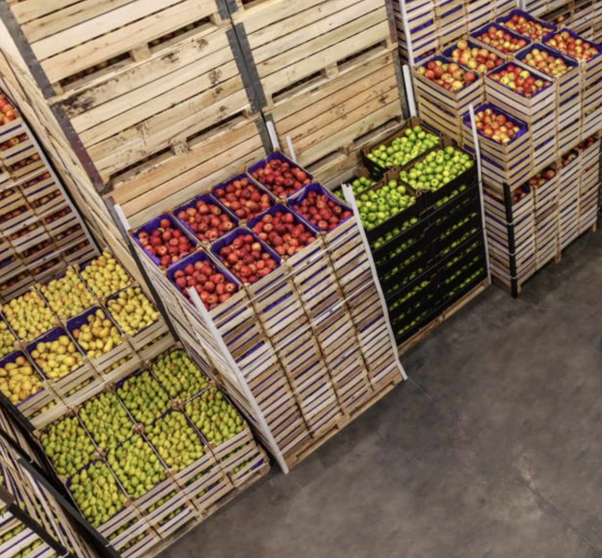 AgriBusiness